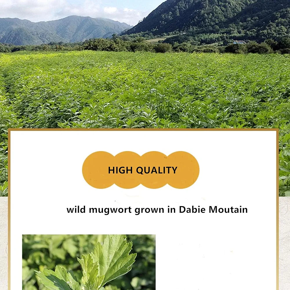 Mugwort Incense Sticks - Herbal Smudge for Cleansing & Meditation | 1 Box